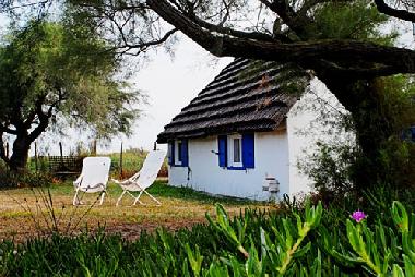 Maison de vacances �/en/au Les Saintes Maries de la Mer (Bouches-du-Rh�ne)ou appartement ou maison de vacances