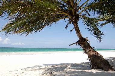Maison de vacances �/en/au Diani beach (Coast)ou appartement ou maison de vacances