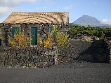 Maison de vacances �/en/au Madalena - Pico Island - Azores (Azores)ou appartement ou maison de vacances
