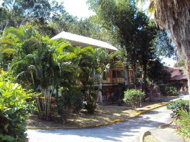 Appartement de vacances �/en/au Sainte-Anne (Martinique)ou appartement ou maison de vacances