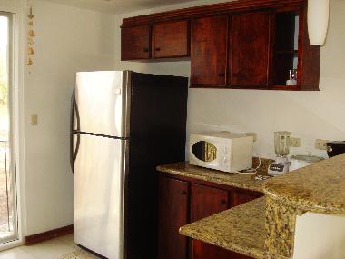 Appartement de vacances �/en/au tamarindo (Guanacaste)ou appartement ou maison de vacances