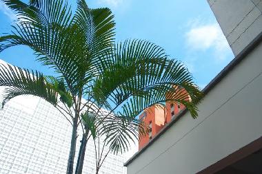Appartement de vacances �/en/au Cali (Valle del Cauca)ou appartement ou maison de vacances