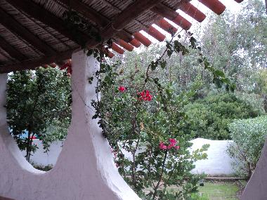 Maison de vacances �/en/au Sa Rocca Tunda (Oristano)ou appartement ou maison de vacances