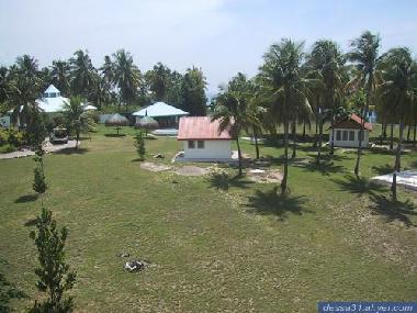 Maison de vacances �/en/au Dalaguete (Cebu)ou appartement ou maison de vacances