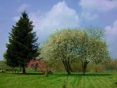 Maison de vacances �/en/au Les Devines/ Saint Leon (Allier)ou appartement ou maison de vacances