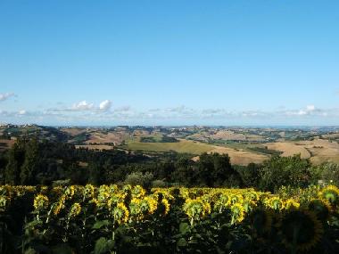Maison de vacances �/en/au Fratte Rosa (Pesaro e Urbino)ou appartement ou maison de vacances