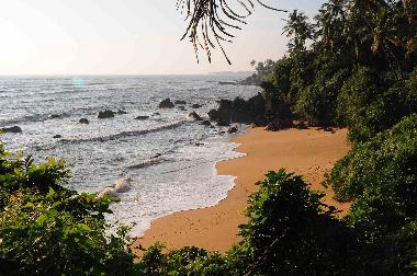 Chambre avec petit d�jeuner �/en/au Kannur (Kerala)ou appartement ou maison de vacances