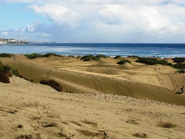 Appartement de vacances �/en/au Play del Ingl�s (Gran Canaria)ou appartement ou maison de vacances