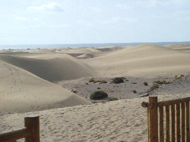Appartement de vacances �/en/au Play del Ingl�s (Gran Canaria)ou appartement ou maison de vacances