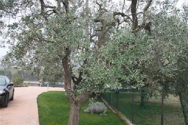Maison de vacances �/en/au Raffa di Puegnago (Brescia)ou appartement ou maison de vacances