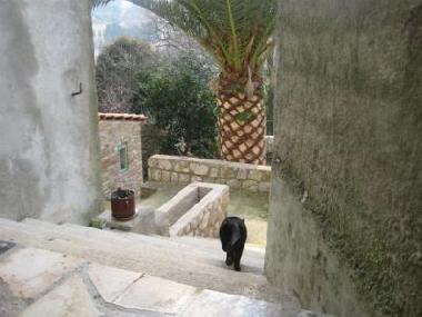 Maison de vacances �/en/au Mali Losinj (Primorsko-Goranska)ou appartement ou maison de vacances