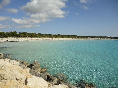Chalet �/en/au sa rapita (Mallorca)ou appartement ou maison de vacances