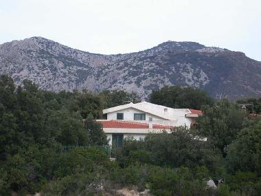 Appartement de vacances �/en/au dorgali/Cala gonone (Nuoro)ou appartement ou maison de vacances