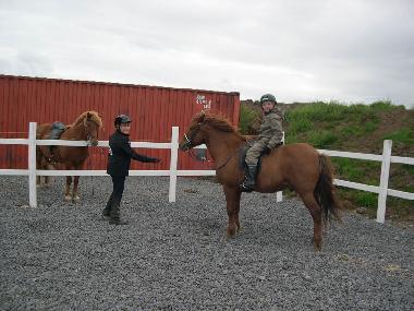 Maison de vacances �/en/au selfoss (Gullbringusysla)ou appartement ou maison de vacances