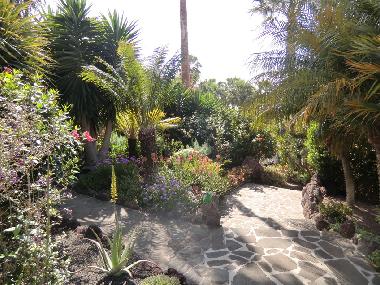 Maison de vacances �/en/au La Matanza  (Teneriffa)ou appartement ou maison de vacances