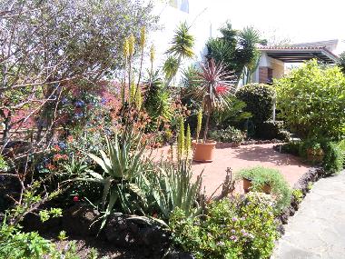 Maison de vacances �/en/au La Matanza  (Teneriffa)ou appartement ou maison de vacances