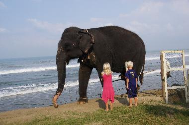 Villa �/en/au Wadduwa (Kalutara)ou appartement ou maison de vacances