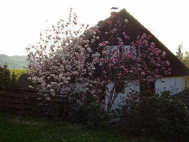 Appartement de vacances �/en/au Vala�sk� Meziř�č� (Zlinsky Kraj)ou appartement ou maison de vacances