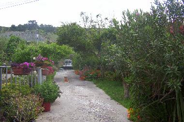 Maison de vacances �/en/au Salgado, Nazare (Oeste)ou appartement ou maison de vacances