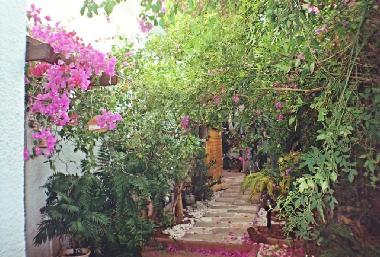 Chalet �/en/au Kochav-Yair (HaMerkaz (Central))ou appartement ou maison de vacances