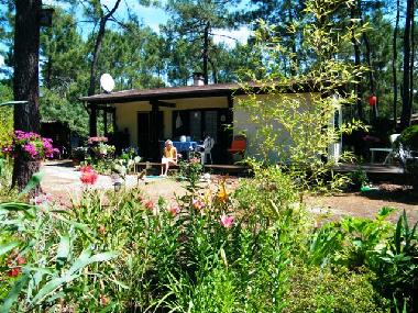 Maison de vacances �/en/au grayan l´hospital (Gironde)ou appartement ou maison de vacances