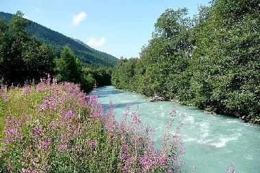 Appartement de vacances �/en/au M�nster VS (Goms)ou appartement ou maison de vacances