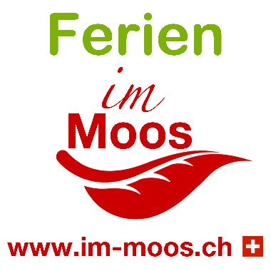 Appartement de vacances �/en/au M�nster VS (Goms)ou appartement ou maison de vacances