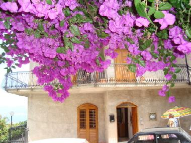Appartement de vacances �/en/au Capo d`Orlando (Messina)ou appartement ou maison de vacances