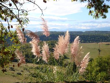 Maison de vacances �/en/au Gensac de Boulogne (Haute-Garonne)ou appartement ou maison de vacances