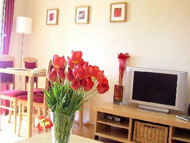 Appartement de vacances �/en/au Krakow (Malopolskie)ou appartement ou maison de vacances