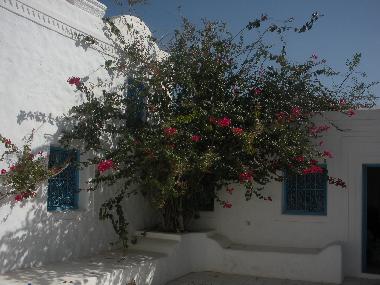 Chambre avec petit d�jeuner �/en/au Houmt Souk DJERBA (Madanin)ou appartement ou maison de vacances