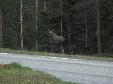 Bateau �/en/au Nordre Osen (Hedmark)ou appartement ou maison de vacances