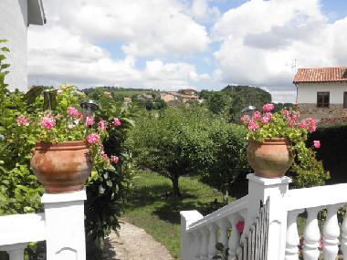 Maison de vacances �/en/au Luey - Val de San Vicente (Cantabria)ou appartement ou maison de vacances