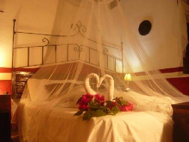 Appartement de vacances �/en/au El Cuyo (Yucatan)ou appartement ou maison de vacances