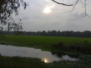 Maison de vacances �/en/au Alleppey (Kerala)ou appartement ou maison de vacances