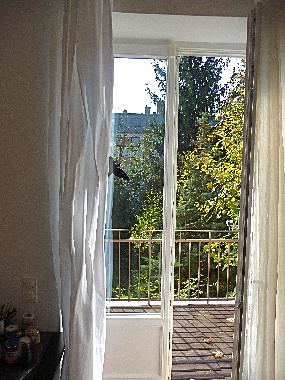 Appartement de vacances �/en/au vienna (Vienne)ou appartement ou maison de vacances