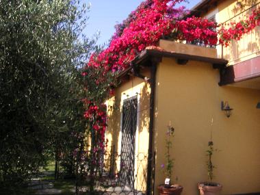 Maison de vacances �/en/au diano castello (Imperia)ou appartement ou maison de vacances
