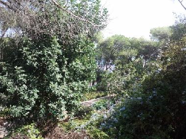 Appartement de vacances �/en/au haifa (Hefa (Haifa))ou appartement ou maison de vacances