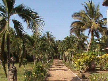 Maison de vacances �/en/au Diani Mombasa (Coast)ou appartement ou maison de vacances