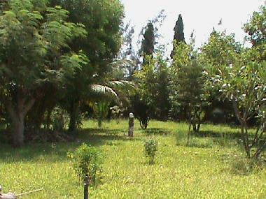 Maison de vacances �/en/au Diani Mombasa (Coast)ou appartement ou maison de vacances