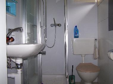 Appartement de vacances �/en/au Goldswil (Ringgenberg-Goldswil)ou appartement ou maison de vacances