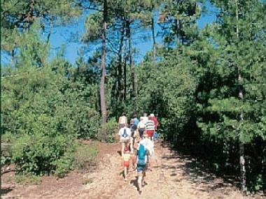 Maison de vacances �/en/au SAINT JEAN DE MONTS (Vend�e)ou appartement ou maison de vacances