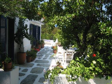 Villa �/en/au Skiathos  (Magnisia)ou appartement ou maison de vacances