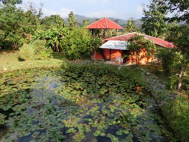 Maison de vacances �/en/au Pai (Mae Hong Son)ou appartement ou maison de vacances