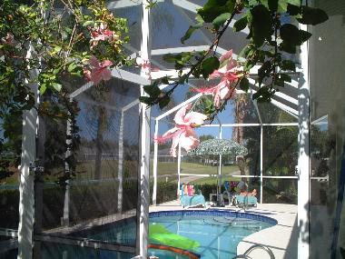 Maison de vacances �/en/au Estero (Florida)ou appartement ou maison de vacances