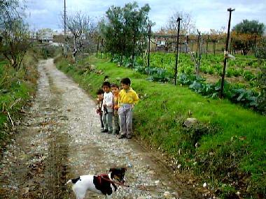 Maison de vacances �/en/au Near Antalya Side Manavgat Alanya (Antalya)ou appartement ou maison de vacances