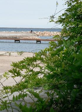 Maison de vacances �/en/au Marseillan (H�rault)ou appartement ou maison de vacances