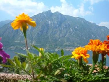 Maison de vacances /en/au Claino con Osteno (Como)ou appartement ou maison de vacances