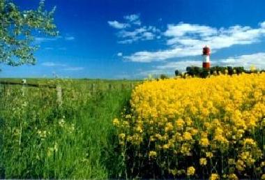 Appartement de vacances �/en/au N�belfeld/Steinbergkirche (Ostsee-Festland)ou appartement ou maison de vacances