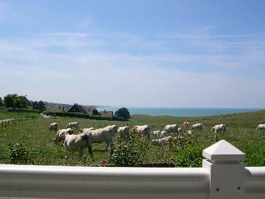 Le panorama de la terrasse